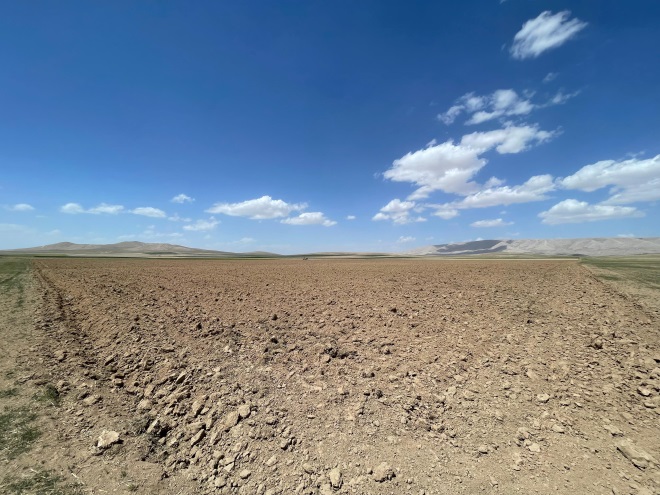 ELİF'DEN İSMİL MAH. 140.000 m2 EKİLEBİLİR TARLA